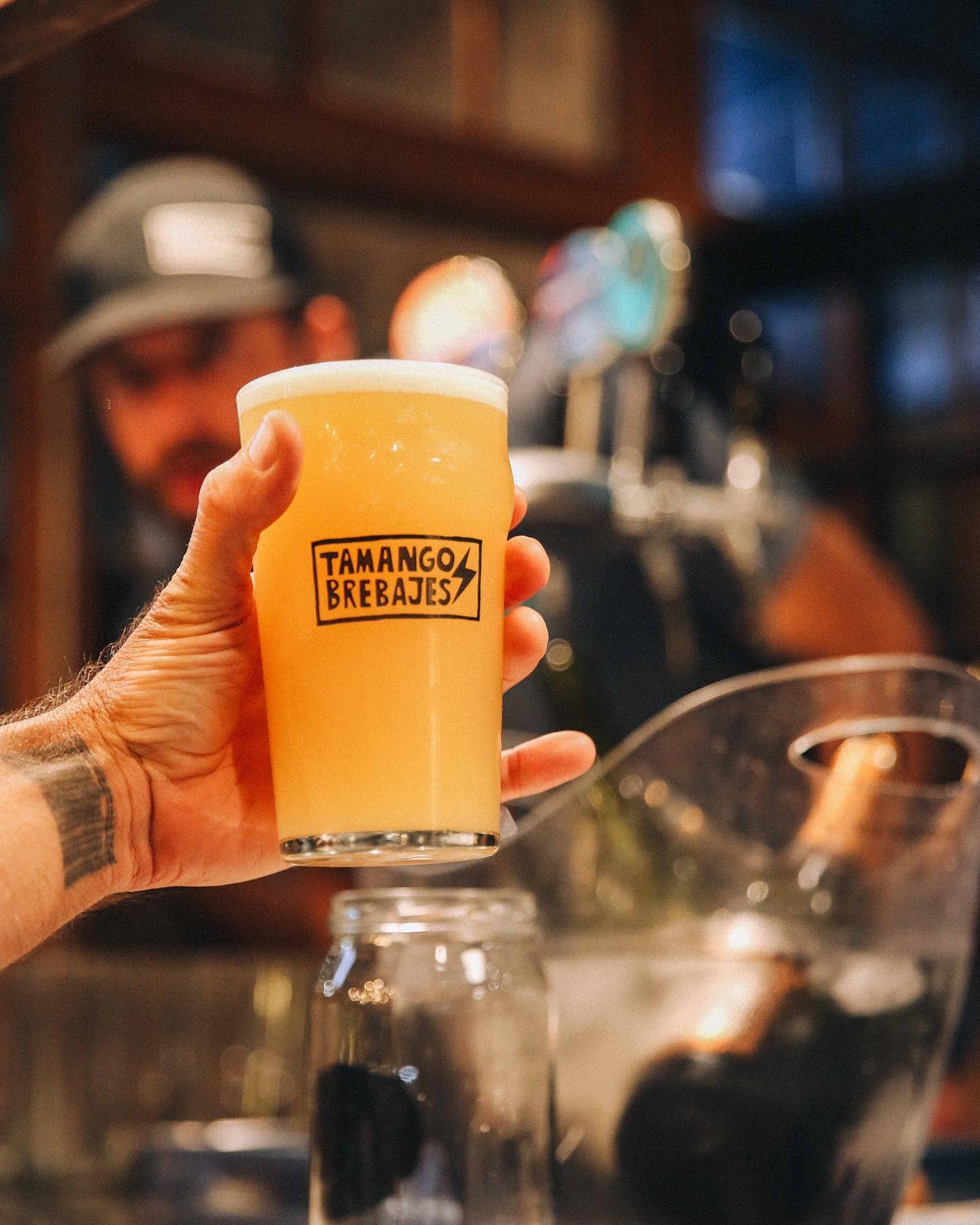 Descripción de la imagen