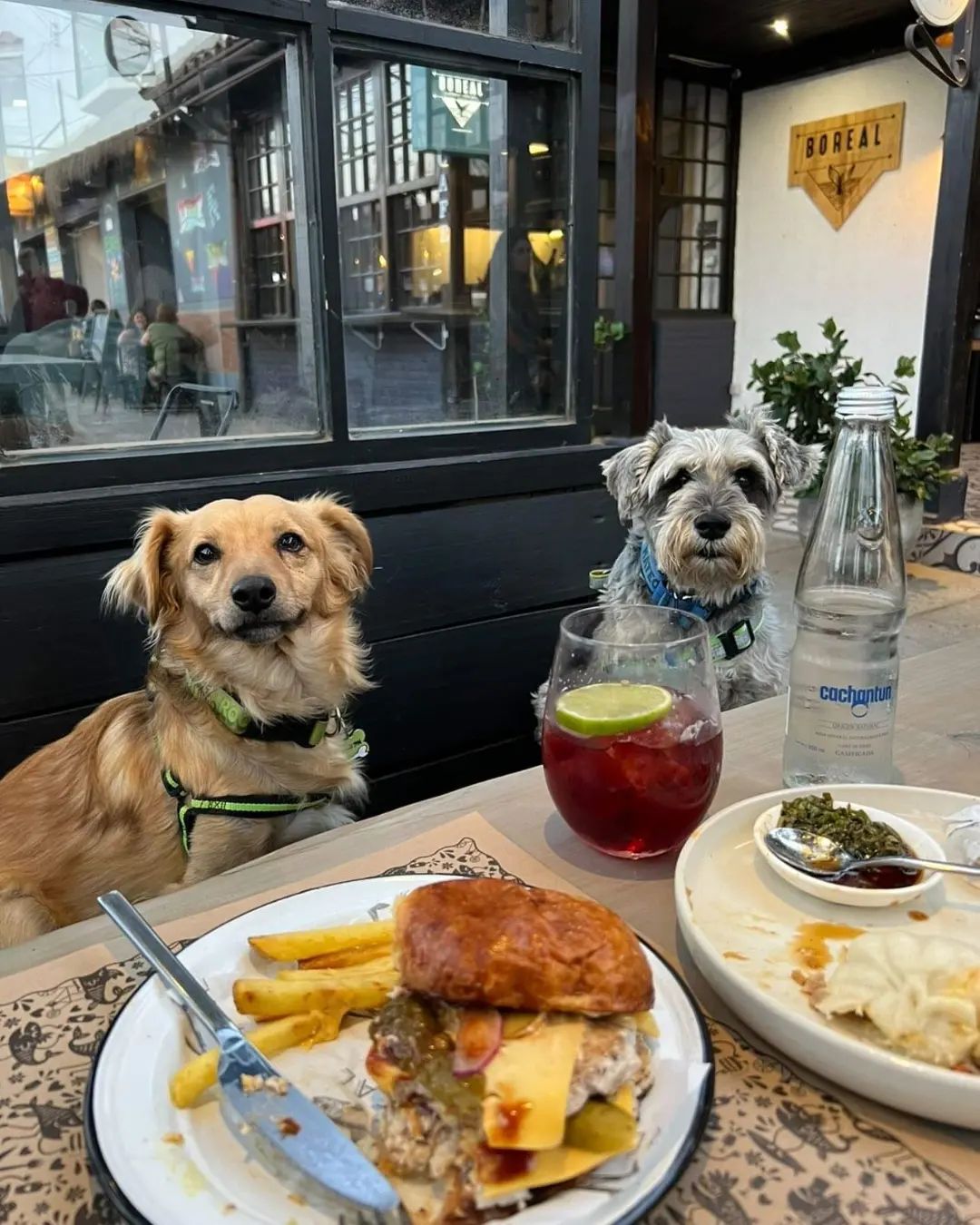 Descripción de la imagen